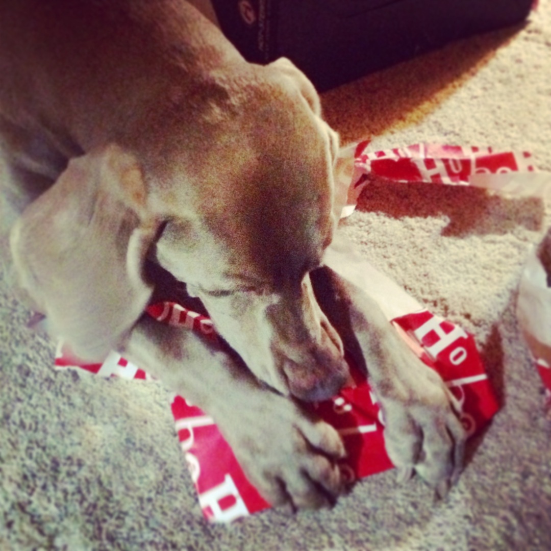 and, gifts for the hound.